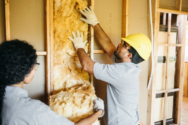 Best Blown-In Insulation  in Worthington, OH